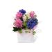 Hyacinths