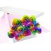 12 Elegant Rainbow Roses