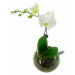 White Orchid Fishbowl