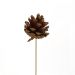 Rustic Pine Cone Pick 