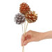 Metallic Trio Pine Cone Picks 