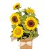 Sunburst Bloom Box 