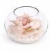 Quicksand Rosette Glass Fish Bowl Arrangement