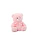 Relay Pink Teddy Bear 15cm