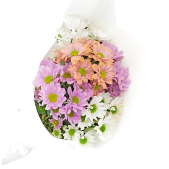 Mixed Pastels Chrysanthemum Bunch