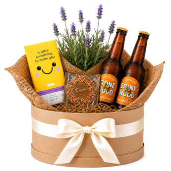 💜🍺 Lavender & Lager Plant Hamper 🍺💜