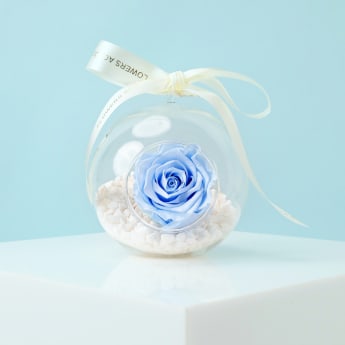 Preserved Orb