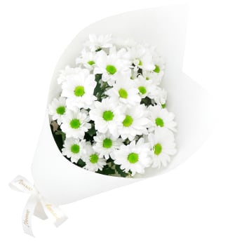 White Chrysanthemum Bunch