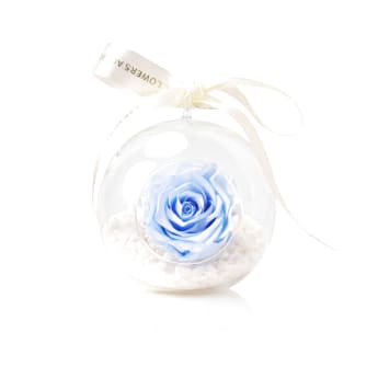 Preserved Blue Rose Orb