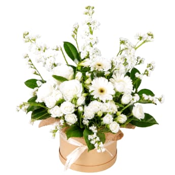 Whisker Friendly Blooms
