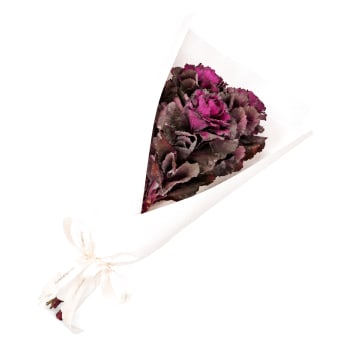 Purple Kale Market Bunch