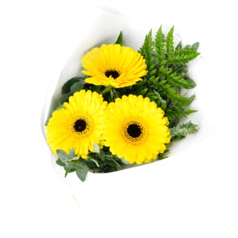 Gerbera Gems Posy