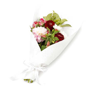 Dear Dahlia