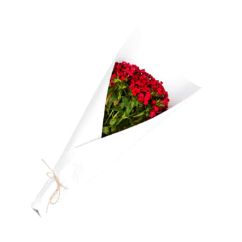 Market Bunch   Sweet William Hot Pink