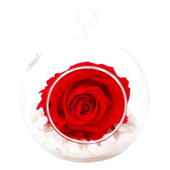 Hot Pink Rose Orb