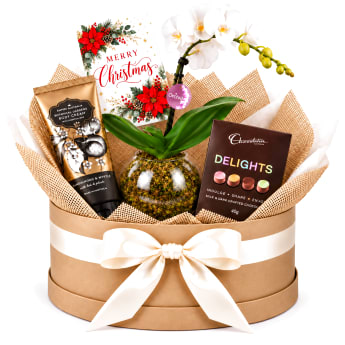 🎄🤍 Christmas Orchid & Indulgence Plant Hamper 🤍🎄
