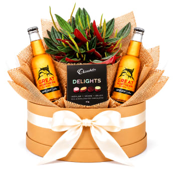 🌿🍺 Peperomia Rosso, Beer & Chocolate Plant Hamper 🍫🌿