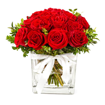 Rose's Vase