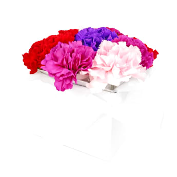 Little Carnation Flower Box – Mixed Colours