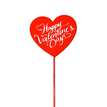 Happy Valentine's Day Pick