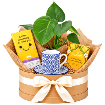 🌿☕ Tea Time & Greenery Hamper ☕🌿