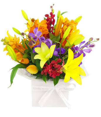 Making Magic Mixed Brights Posy Box