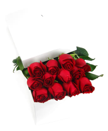 12 Elegant Gift Boxed Roses