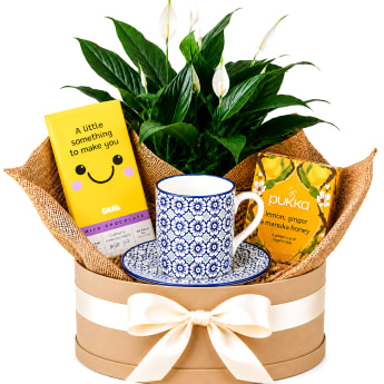 ☕🌿 Tea & Tranquillity Plant Hamper 🌿☕.