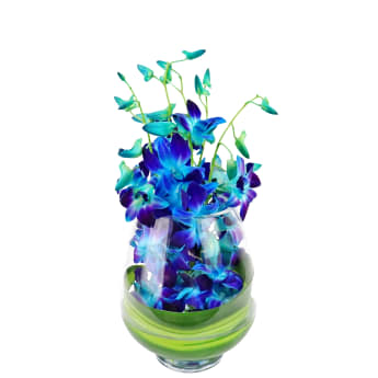 Blue Elegant Orchid Vase Arrangement