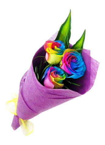 Rainbow Roses