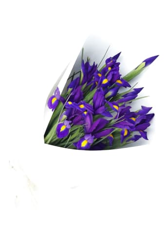 Blue Iris Flower Bouquet