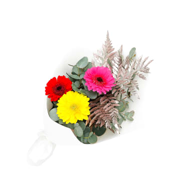 Mini Gerbera Gems Posy