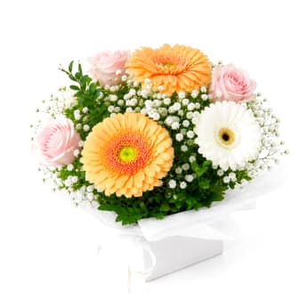 Levity Bloom Box