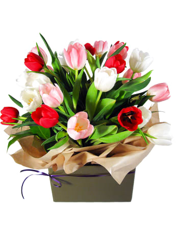 Divine Tulips Flower Box