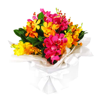 Kaleidoscope Orchid Flower Box