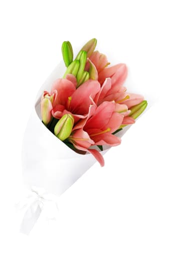 Lily Bunch