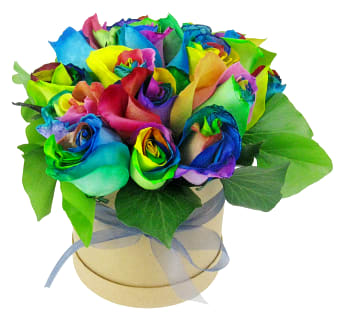 So Fancy Rainbow Roses