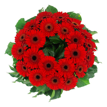 Daisy Chain Wreath