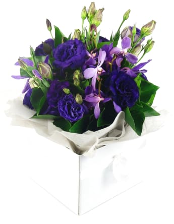 Purple Haze Flower Box