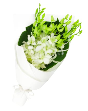 White Orchid Bunch