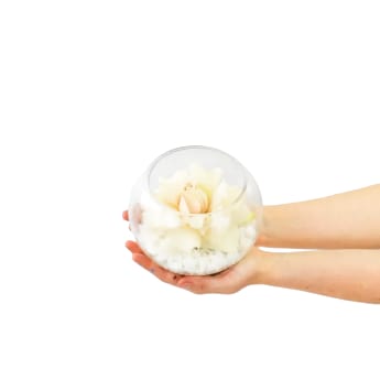 Quicksand Rosette Glass Fish Bowl Arrangement