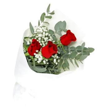 Rambling Roses