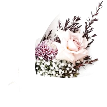 Little Elegant Fantasy