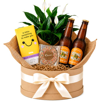 🍺🌿 Beers & Blooms Plant Hamper 🌿🍺