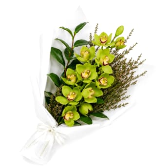Cymbidium Paradise Bouquet