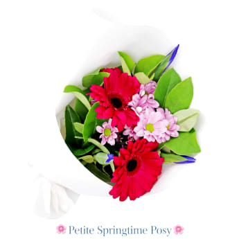 Petite Springtime Posy