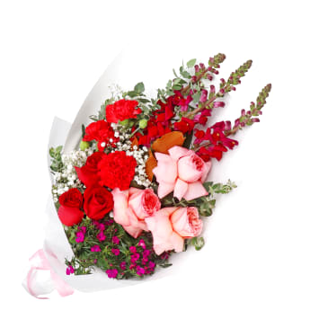 Rosette Dreams