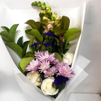 Daily Bouquet — Roses, Snapdragons & Refined Charm