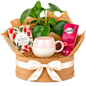 🌿🌸 Peperomia & Pink Tea Delights Plant Hamper 🌸🌿