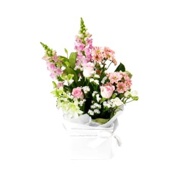 Colourburst Bloom Box